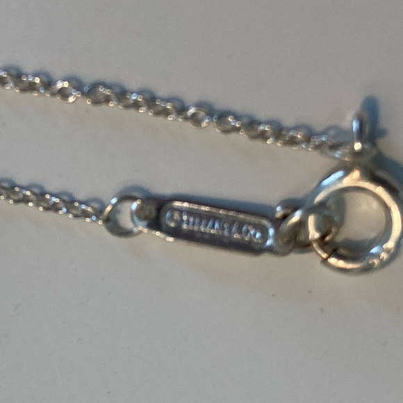 Tiffany and Co.’s Infinity Endless Necklace - Picture 11 of 11